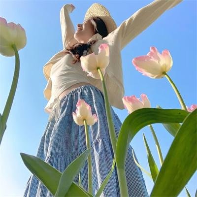 歌坛风月